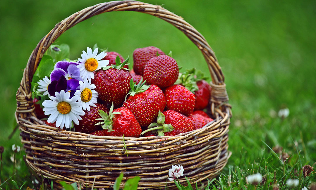 唐山点呀点水果电商APP开发案例